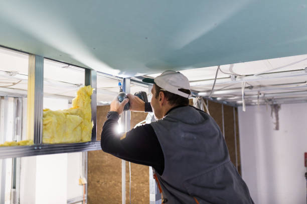 Best Commercial Insulation Contractor  in Williamsport, PA