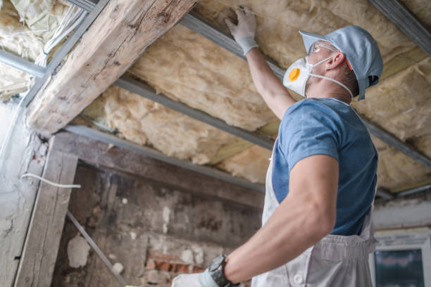 Best Soundproof Insulation Installation  in Williamsport, PA