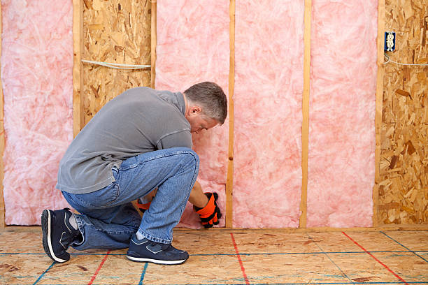 Best Attic Insulation Installation  in Williamsport, PA