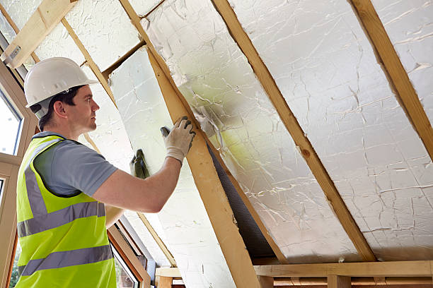 Best Professional Insulation Contractor  in Williamsport, PA