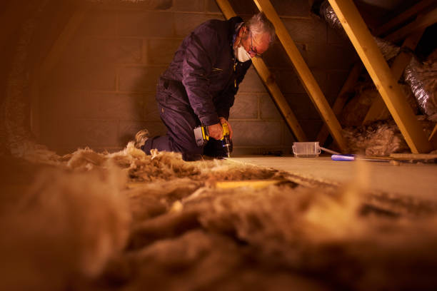 Best Insulation Inspection Services  in Williamsport, PA